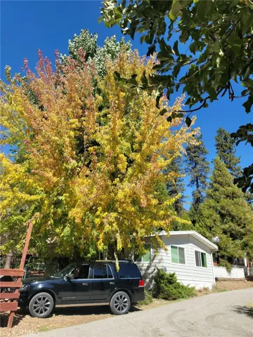 Fall is beginning