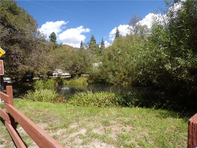 Duck Pond