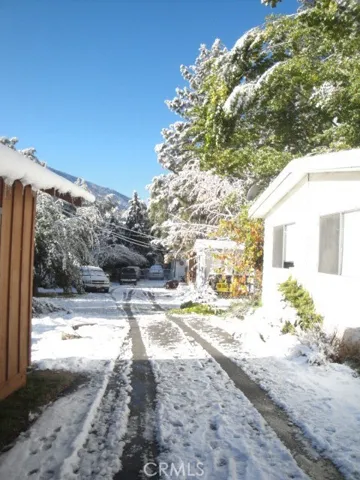 First snow- a dusting