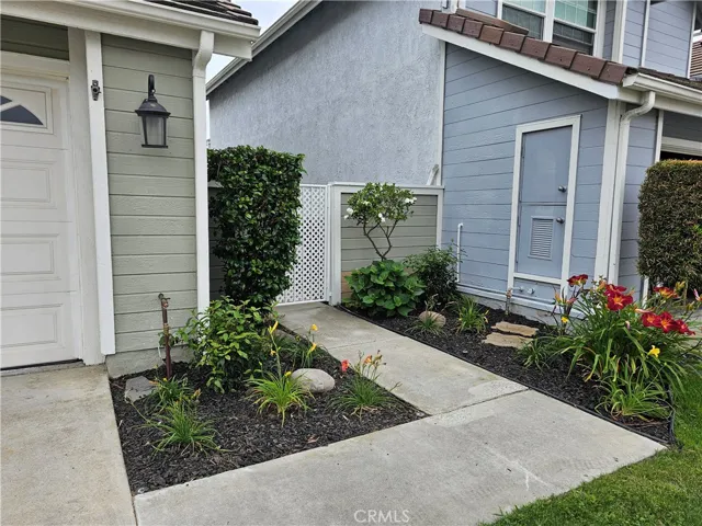 New front yard landscaping