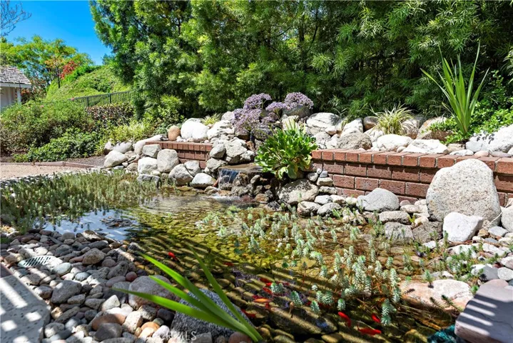 Backyard Pond