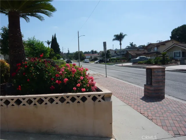 Street view with custom mailbox