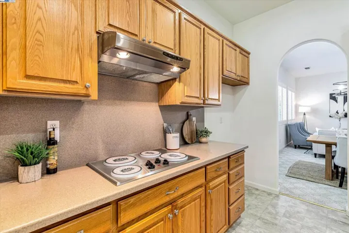 859 Alexander Gabriel Ct, Tracy, California 95377