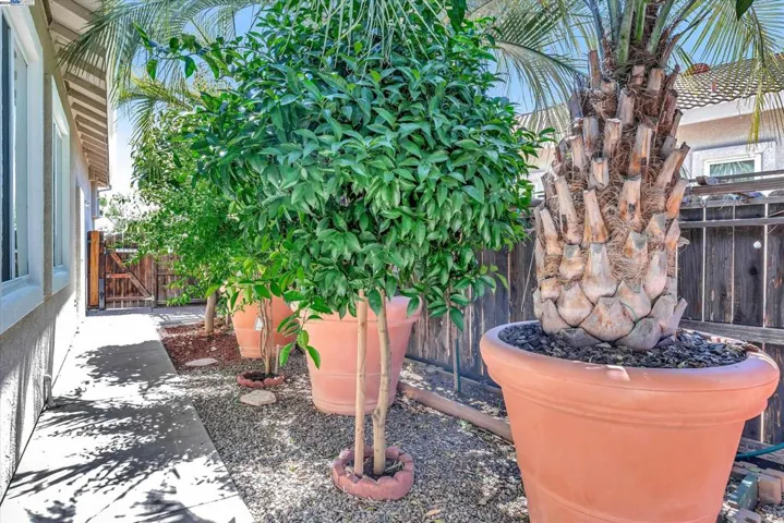 859 Alexander Gabriel Ct, Tracy, California 95377
