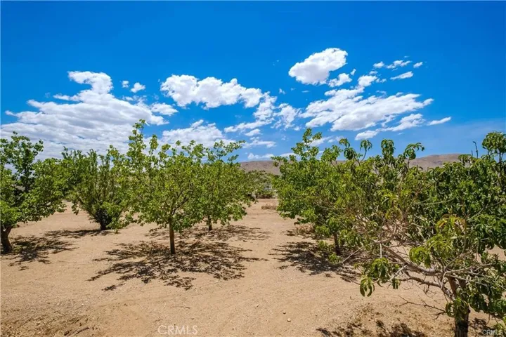 9887 Bella Vista Street, Apple Valley, California 92308