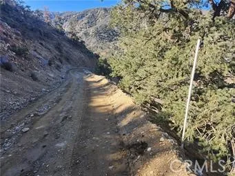 3036 39105 Scenic Drive, Wrightwood, California 92397