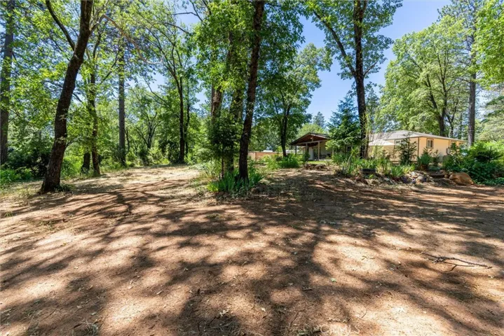 15152 Dorrett Drive, Forest Ranch, California 95942