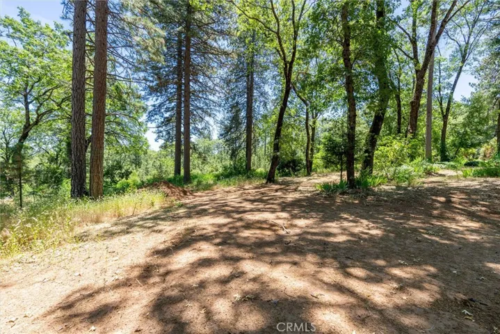 15152 Dorrett Drive, Forest Ranch, California 95942