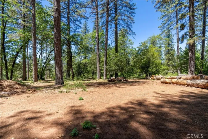 15152 Dorrett Drive, Forest Ranch, California 95942