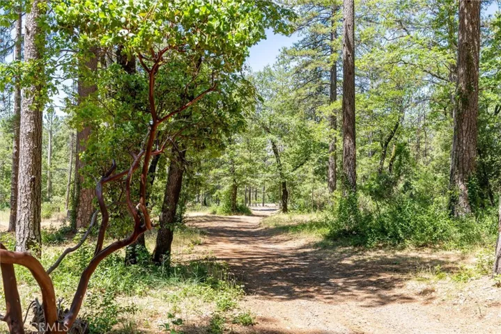 15152 Dorrett Drive, Forest Ranch, California 95942