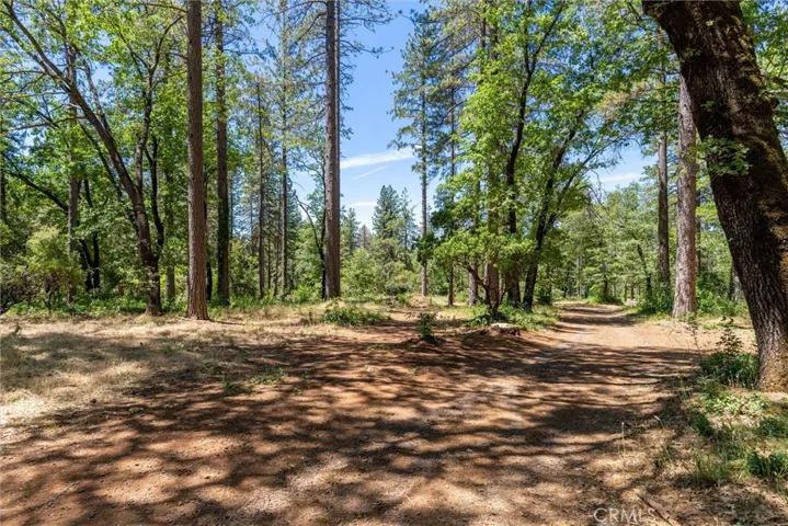 15152 Dorrett Drive, Forest Ranch, California 95942
