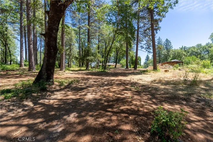 15152 Dorrett Drive, Forest Ranch, California 95942