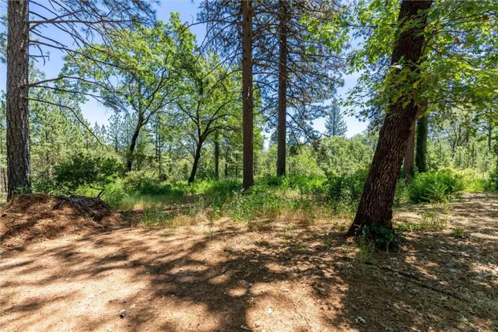 15152 Dorrett Drive, Forest Ranch, California 95942