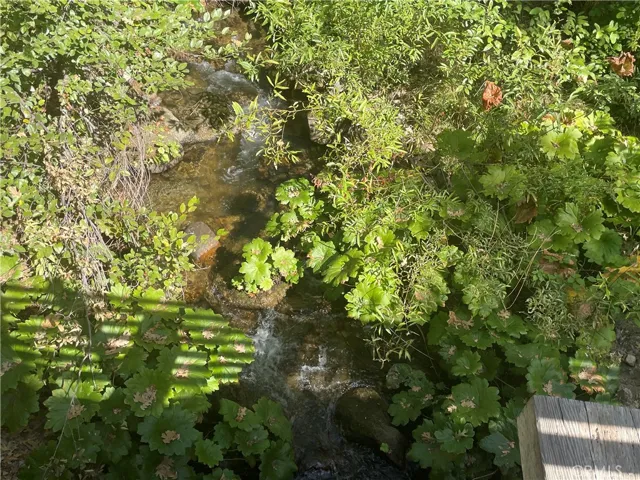 neighborhood bridge view