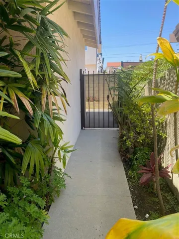 Side yard-Right Side