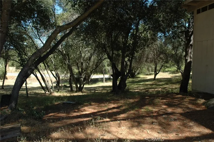 46749 Eastwood Drive N, Oakhurst, California 93644