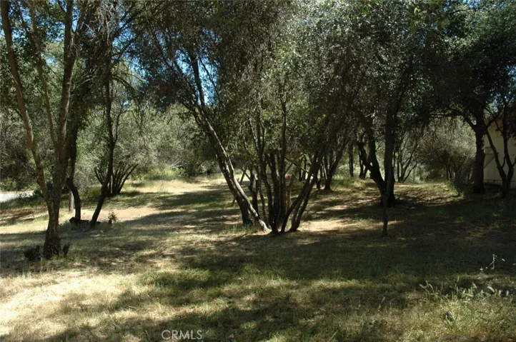 46749 Eastwood Drive N, Oakhurst, California 93644