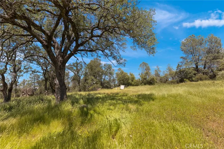 5 Oregon Gulch Road, Oroville, California 95965