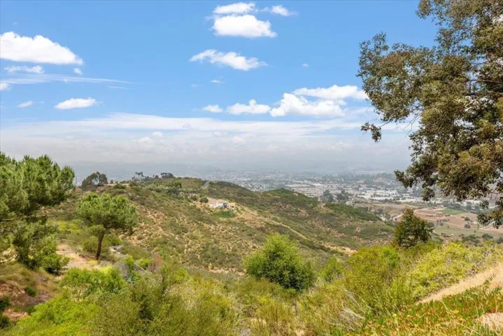 919 Cycad Drive, San Marcos, California 92078
