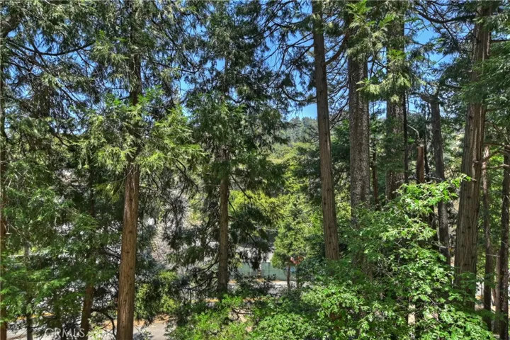 616 Rose Hill Drive, Crestline, California 92325