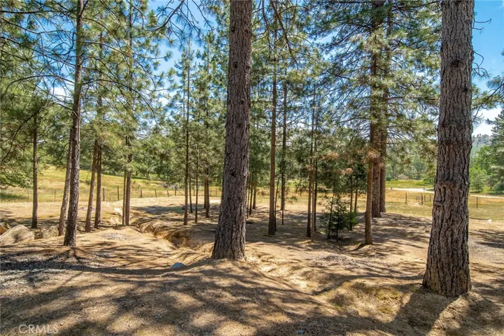 6890 Double Eagle Road, Mariposa, California 95338