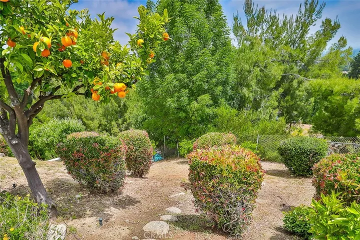 Yard also has land below the top fence