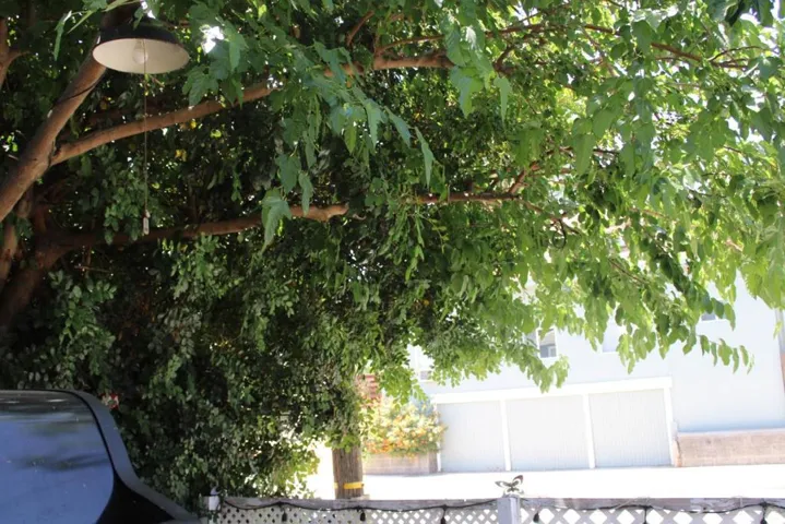 309 E Street, Antioch, California 94509
