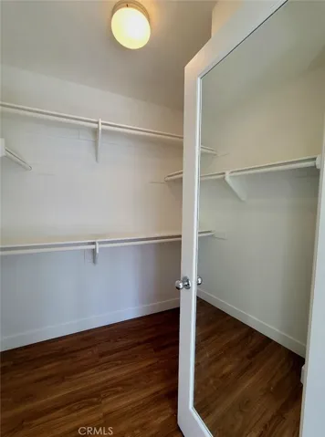 Master Walk in closet