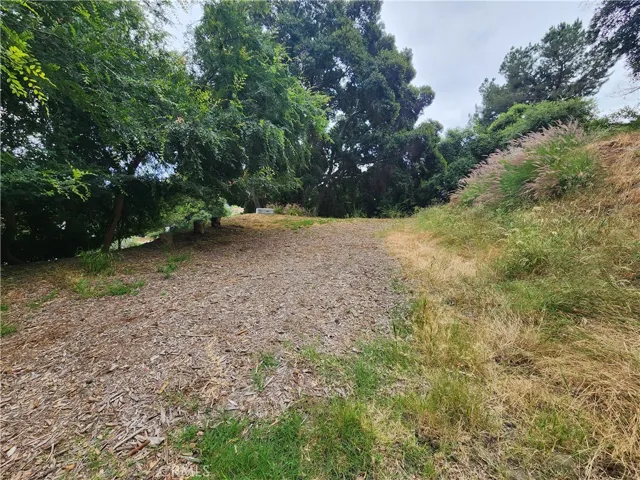 428 N Alta Vista Dr., Monrovia, California 91016