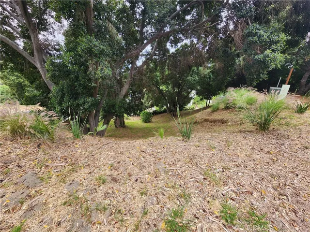 428 N Alta Vista Dr., Monrovia, California 91016