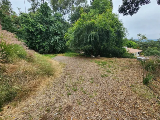 428 N Alta Vista Dr., Monrovia, California 91016