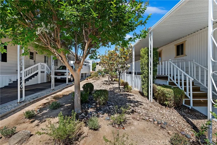Side Yard with Mature Landscaping and Trees