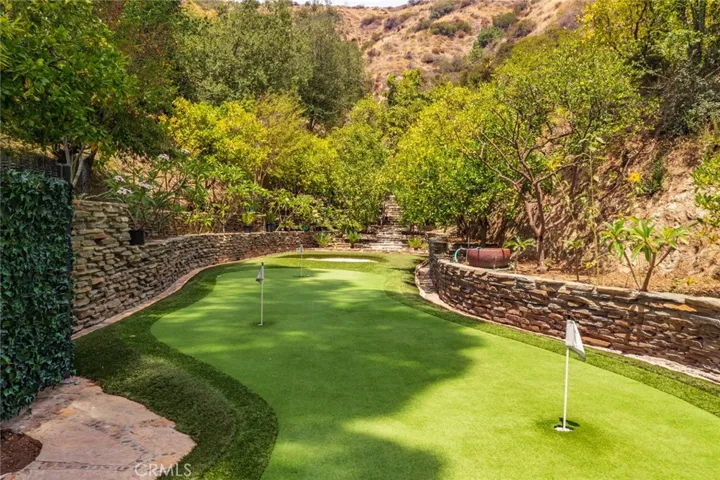 Pro designed putting green
