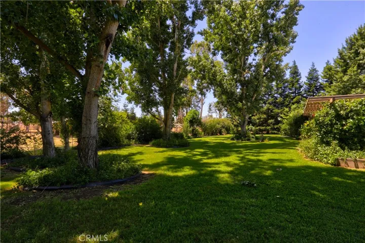 12354 Hobday Road, Wilton, California 95693