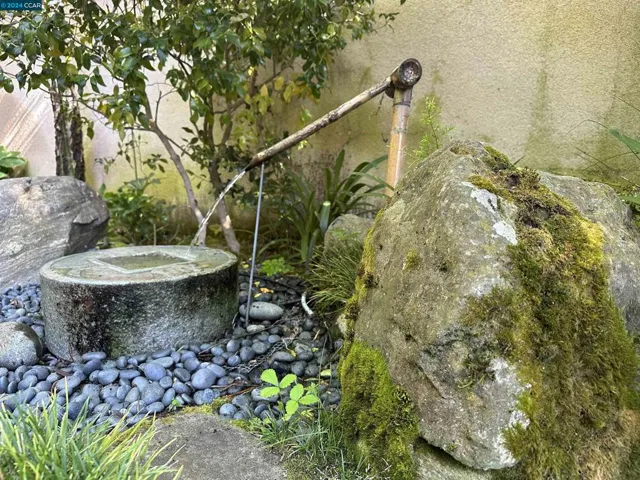 Water Feature