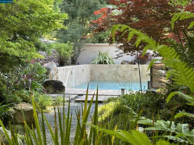 Private Backyard