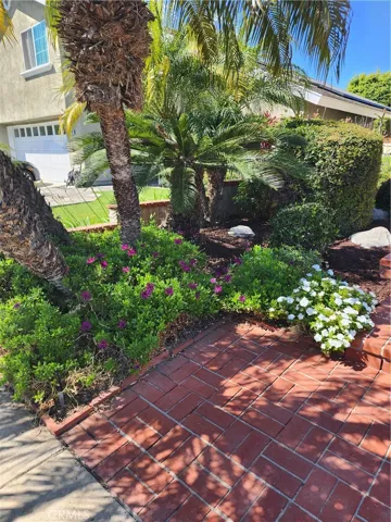Mature beautiful palm trees some brick hardscape for easy maintenance