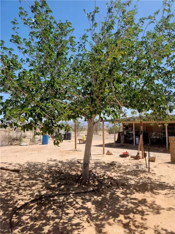 77820 Mesa Drive, 29 Palms, California 92277