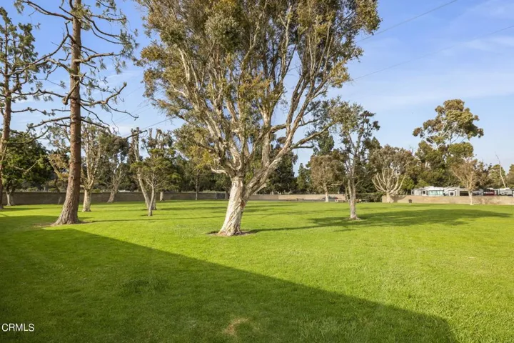 41-web-or-mls-UpmarketMedia-1220JOhn83-1