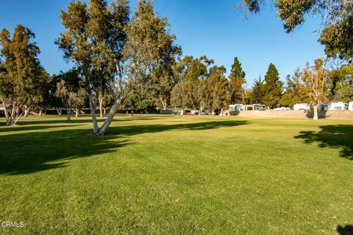 54-web-or-mls-Dog Park