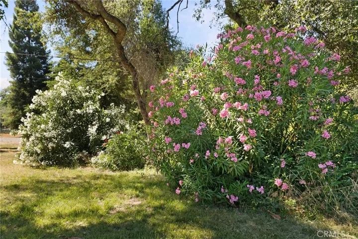 2638 Foothill Boulevard, Oroville, California 95966