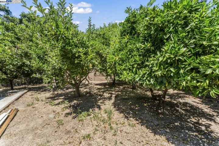 4910 Alhambra Ave, Martinez, California 94553