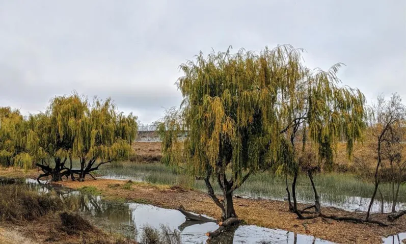 3901 Lick Mill Boulevard 128, Santa Clara, California 95054