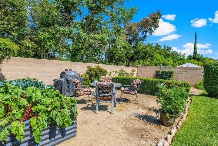 Garden / BBQ