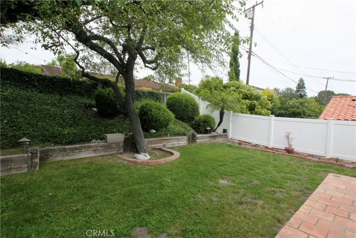 Backyard 2