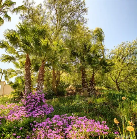 733 Vista Point Circle, Vista, California 92084