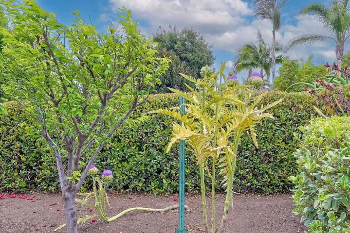 924 Whaley St, Oceanside, California 92054