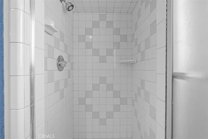 Guest Shower