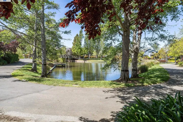 Lagoon Path