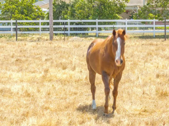 200 Prater Way, Hollister, California 95023